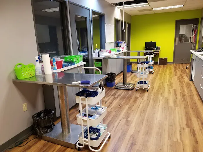 Tigard Animal Hospital Picture 6