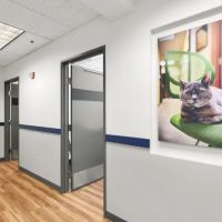 Tigard Animal Hospital ico