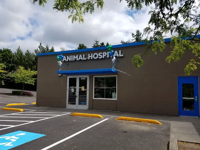 Tigard Animal Hospital Picture 7