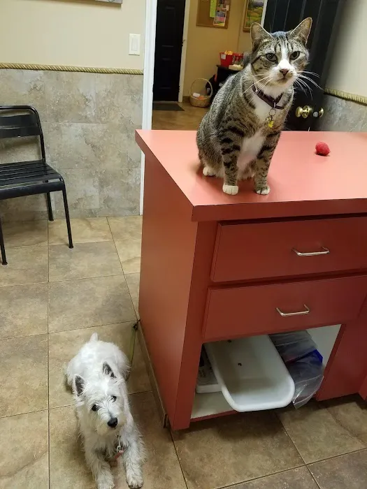 Tualatin Park Veterinary Clinic Picture 10