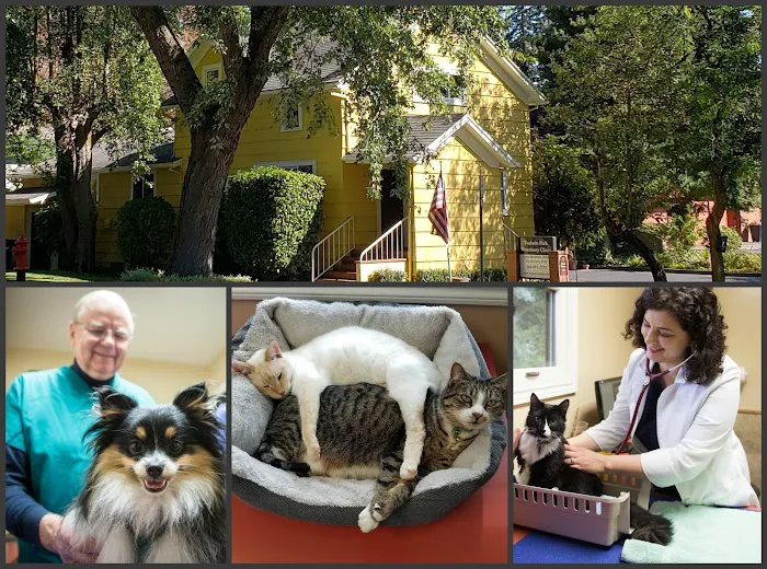 Tualatin Park Veterinary Clinic Picture 8