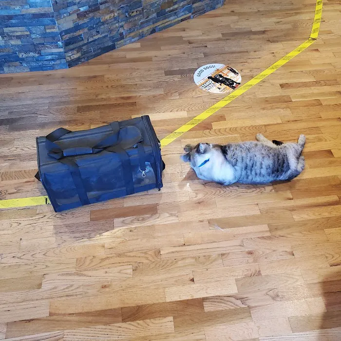 Tualatin Animal Clinic Picture 9