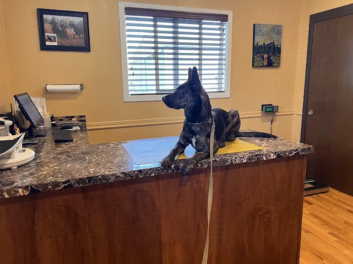 Tualatin Animal Clinic Picture 4