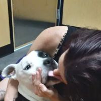 Tualatin Animal Clinic ico