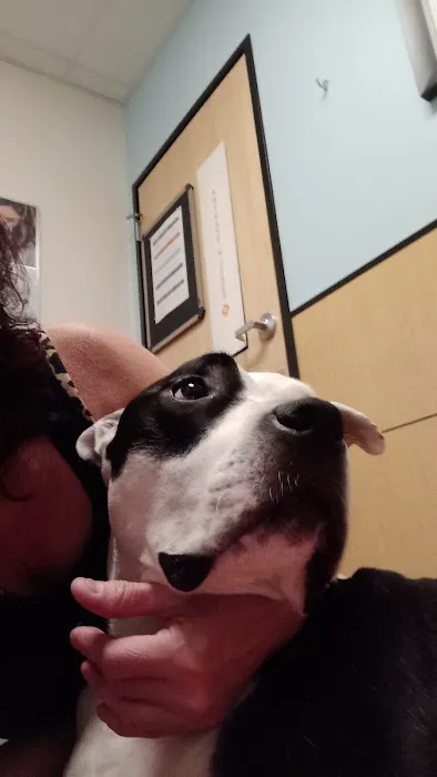 Banfield Pet Hospital Picture 1