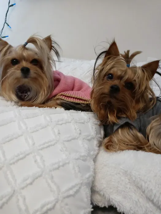 Banfield Pet Hospital Picture 2