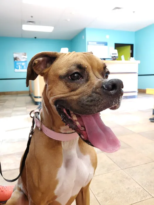 Banfield Pet Hospital Picture 8