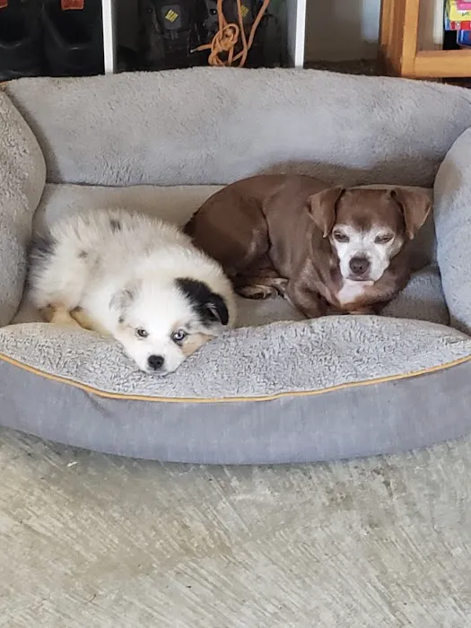 Banfield Pet Hospital Picture 7