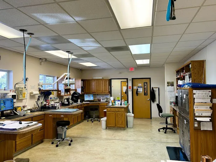 Wildwood Animal Hospital Picture 8