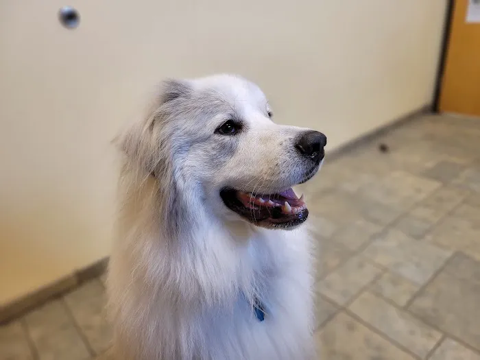 Wildwood Animal Hospital Picture 5