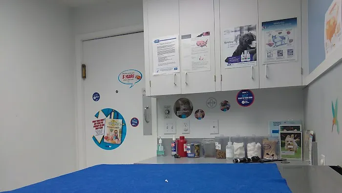 VCA 12-Mile Animal Hospital Picture 4