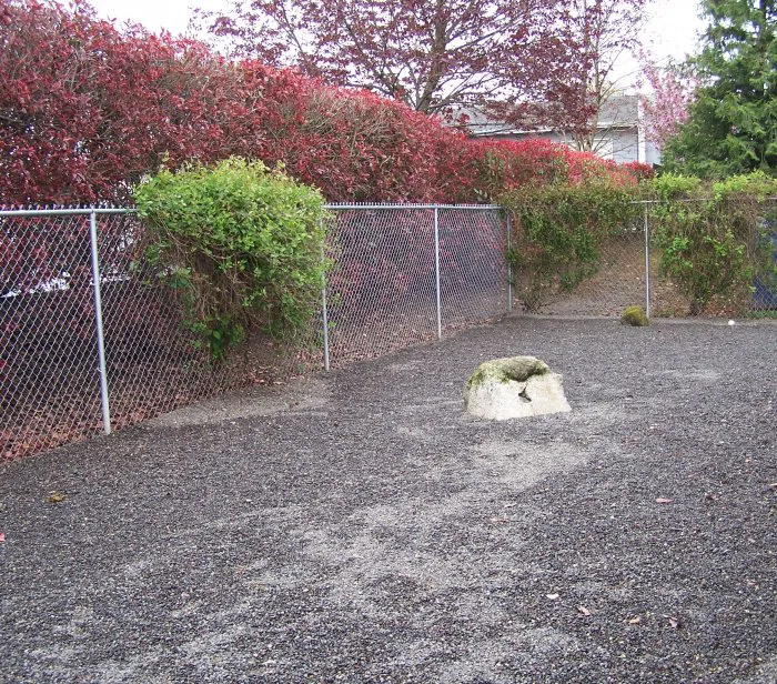 VCA 12-Mile Animal Hospital Picture 7