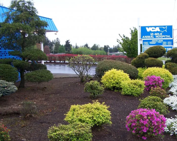 VCA 12-Mile Animal Hospital Picture 6