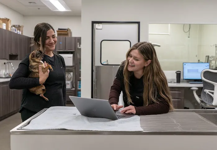 Doug Fir Veterinary Care Picture 4