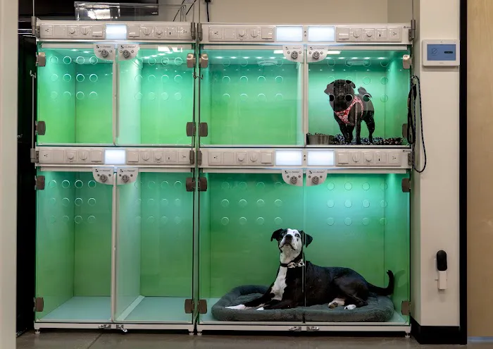 Doug Fir Veterinary Care Picture 10