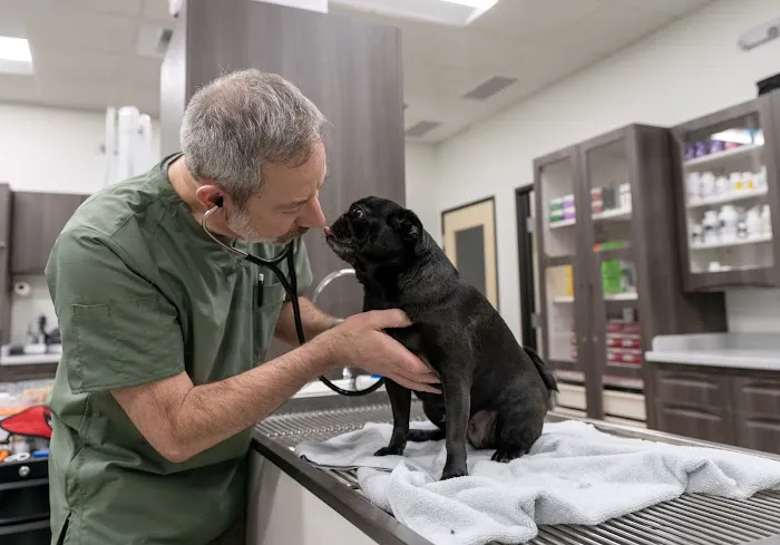 Doug Fir Veterinary Care Picture 7