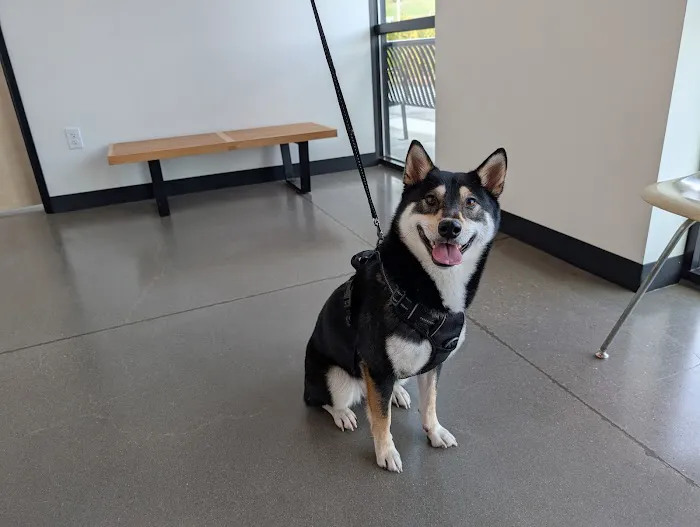 Doug Fir Veterinary Care Picture 5