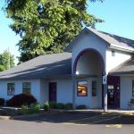 Feline Medical Clinic