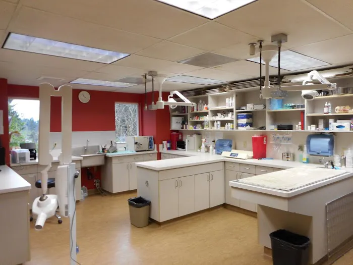 Salmon Creek Veterinary Clinic Picture 9