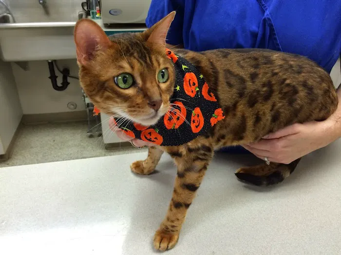 Salmon Creek Veterinary Clinic Picture 8