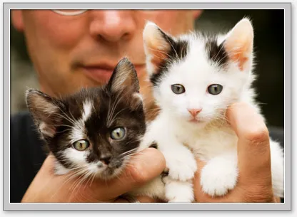 Good Neighbor Vet Picture 1