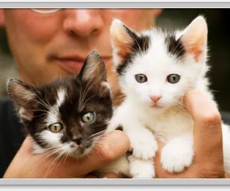 Good Neighbor Vet