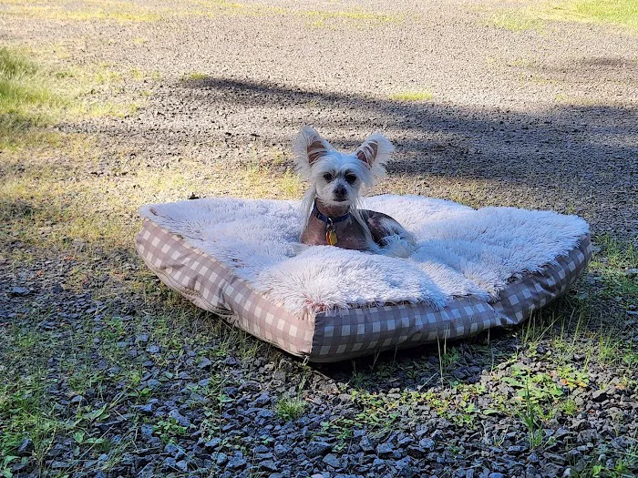 Banfield Pet Hospital Picture 7