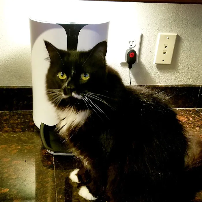 Banfield Pet Hospital Picture 6