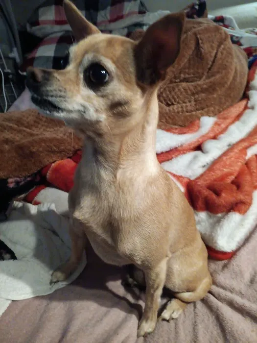 Banfield Pet Hospital Picture 9