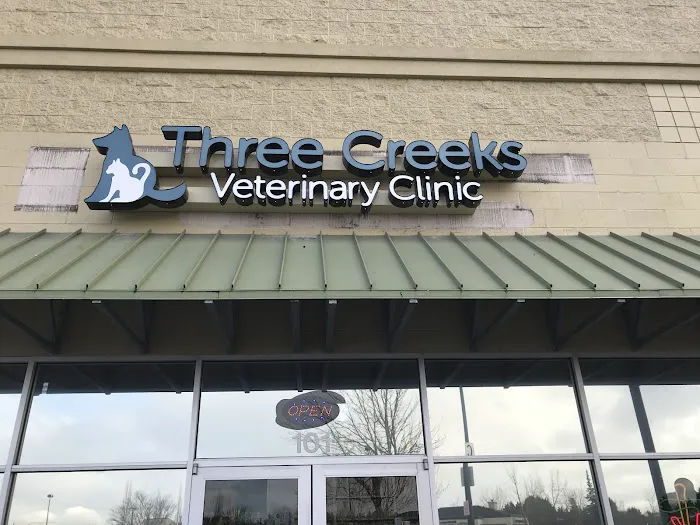 Three Creeks Urgent Care Clinic, A Thrive Pet Healthcare Partner Picture 9