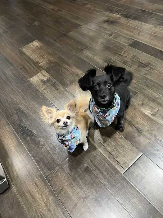 Sunnyside Veterinary Hospital Picture 9