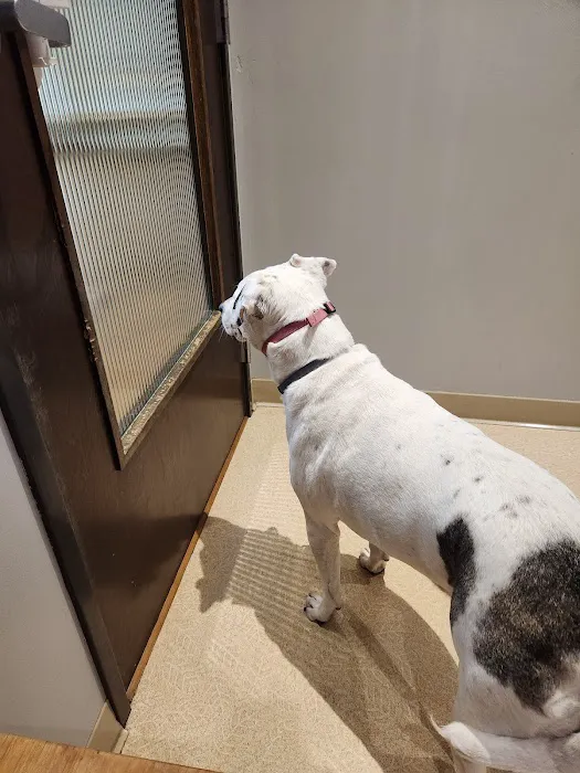 Happy Valley Veterinary Hospital Picture 5
