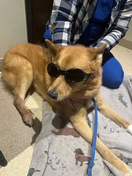Happy Valley Veterinary Hospital Picture 4