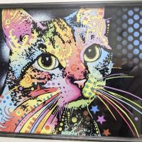VCA East Mill Plain Animal Hospital ico