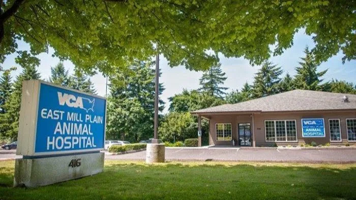 VCA East Mill Plain Animal Hospital Picture 4
