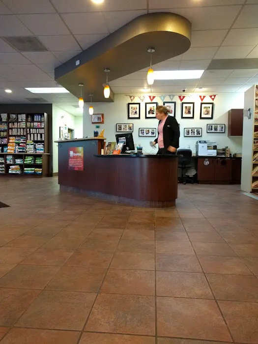 VCA East Mill Plain Animal Hospital Picture 7