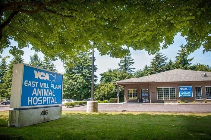 VCA East Mill Plain Animal Hospital Picture 5