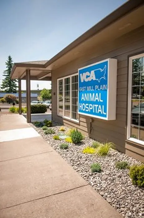 VCA East Mill Plain Animal Hospital Picture 2