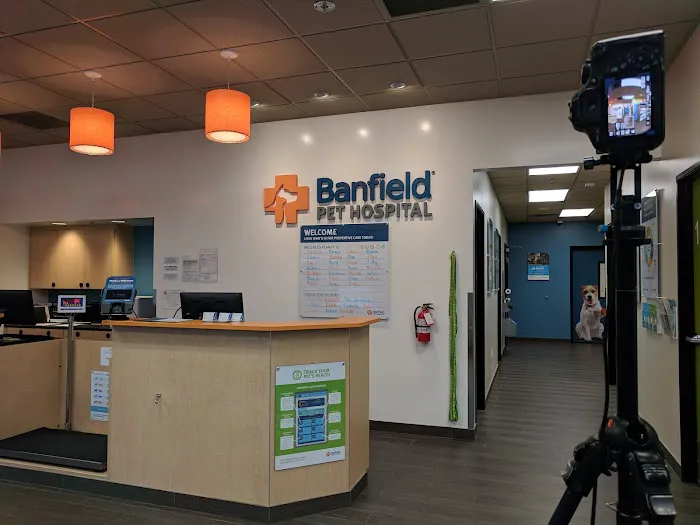 Banfield Pet Hospital Picture 6