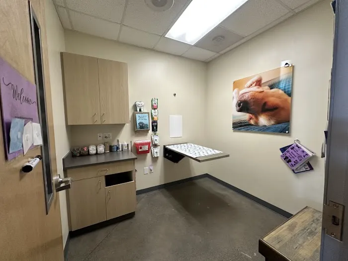 Vetco Total Care Animal Hospital Picture 10