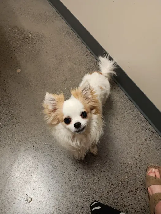 Vetco Total Care Animal Hospital Picture 7