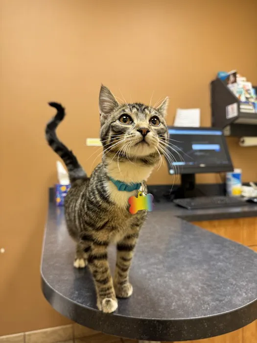 Crestwood Court Veterinary Clinic Picture 2