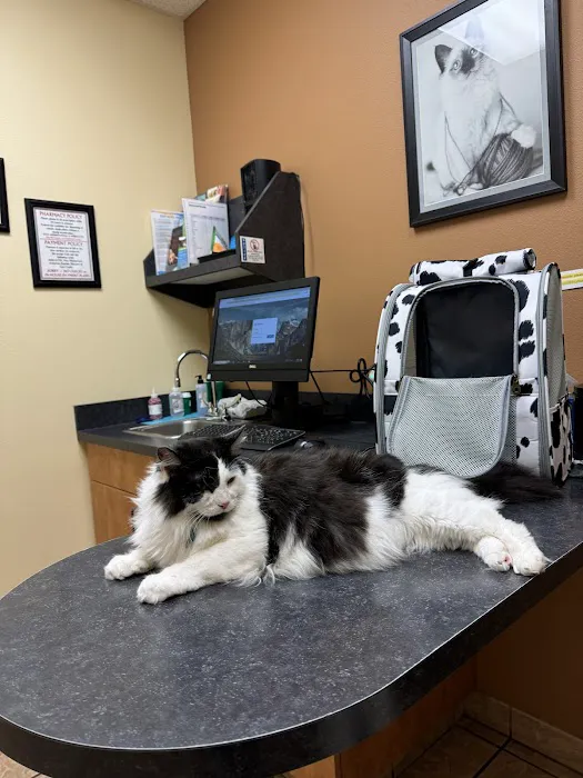 Crestwood Court Veterinary Clinic Picture 5