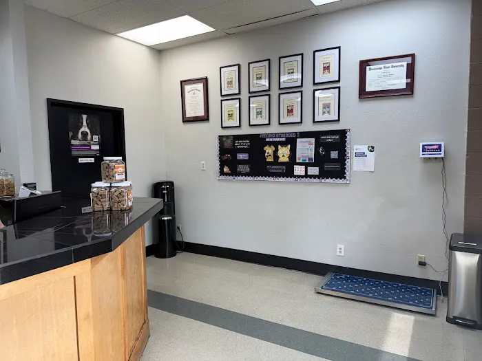 Orchards Veterinary Clinic Picture 7