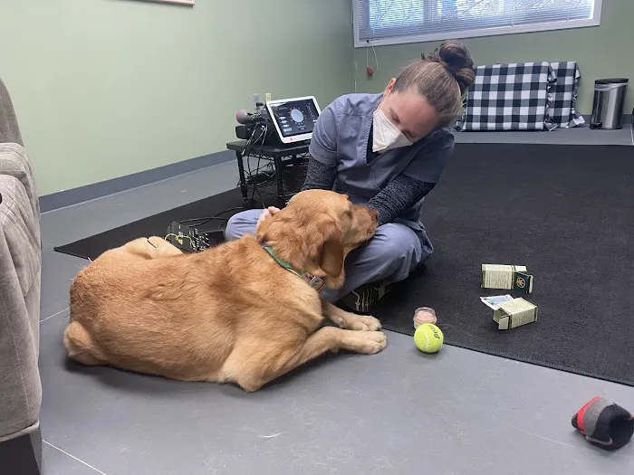 Balanced Animal Wellness, LLC Picture 4