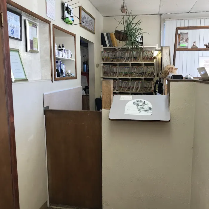 Dr. Bob's Vet Shop Picture 4