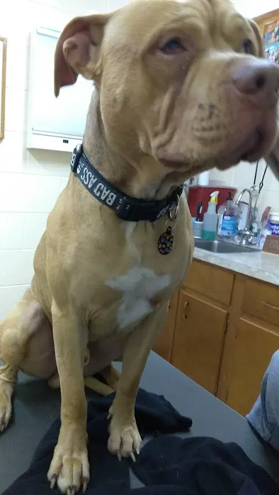 Stockton Pet Hospital Picture 6