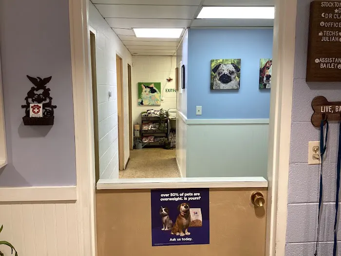 Stockton Pet Hospital Picture 2