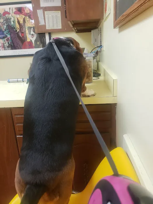 Academy Veterinary Hospital Picture 9