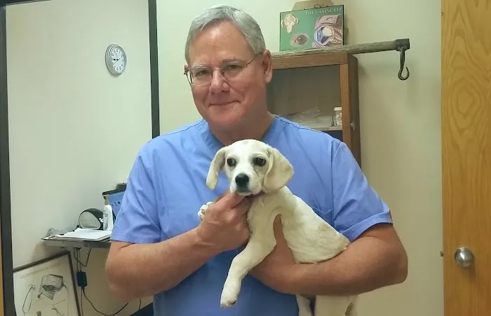 Valley Veterinary Hospital Denver Picture 9